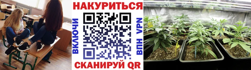 Наркошоп купить COCAIN Alpha PVP Меф Амфетамин Псилоцибиновые грибы Гашиш Конопля Тейково
