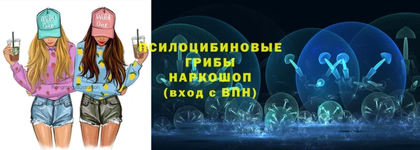 2c-b Белокуриха