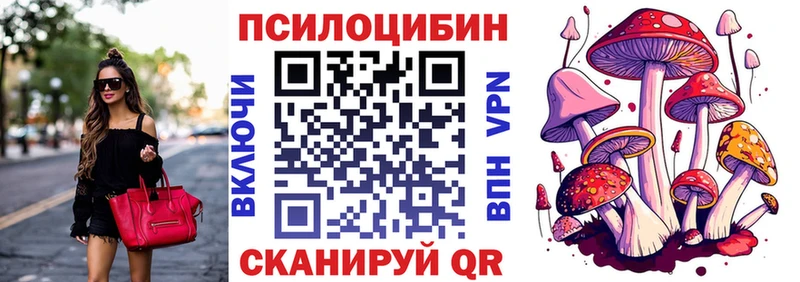 Купить  Тейково  Галлюциногенные грибы Psilocybine cubensis 